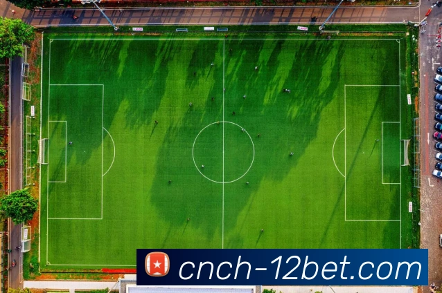 壹贰博12BET官网APP 体育赛事宣传图